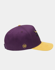 Minnesota State Mavericks Purple Hat