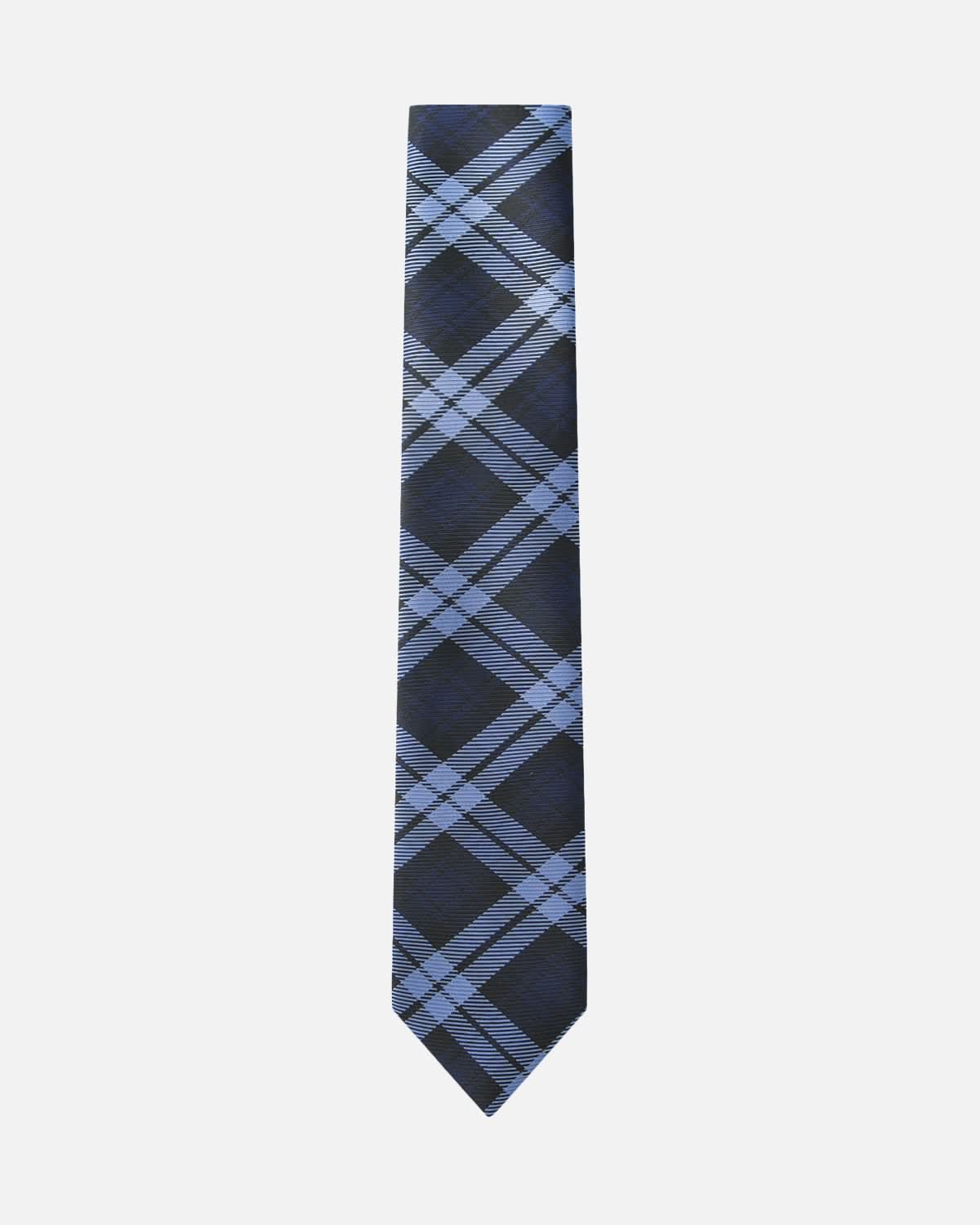 Immortal Powder Blue & Navy Plaid Tie - Blue &