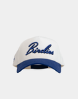 Birdies Fade Hat